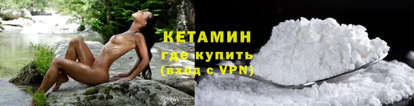шишки Осинники