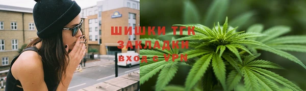 молекула духа Осташков