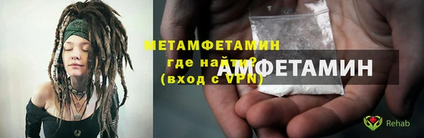 шишки Осинники