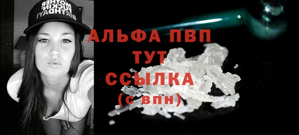 молекула духа Осташков