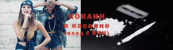 молекула духа Осташков