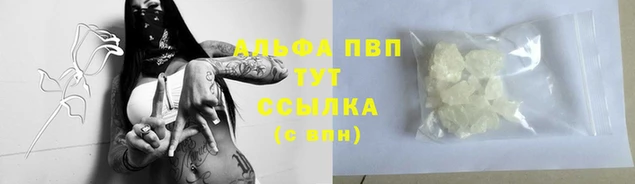 молекула духа Осташков