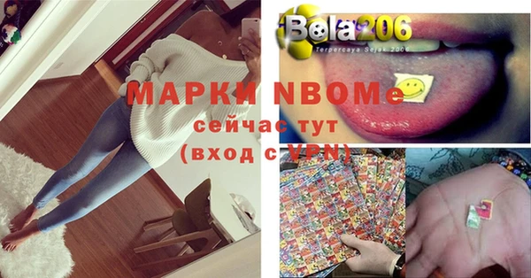 молекула духа Осташков