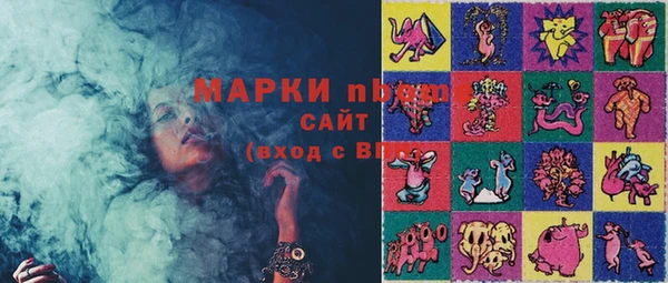 молекула духа Осташков