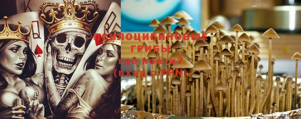 молекула духа Осташков