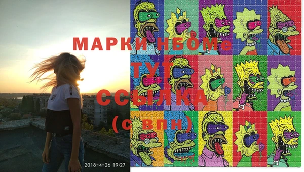 молекула духа Осташков