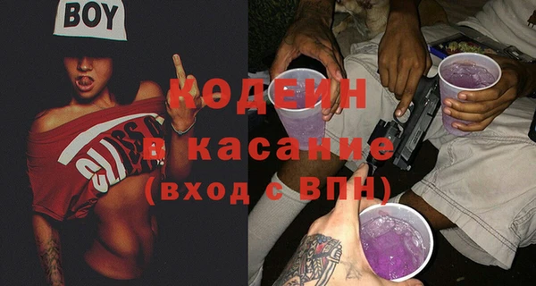 шишки Осинники