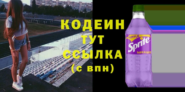 шишки Осинники