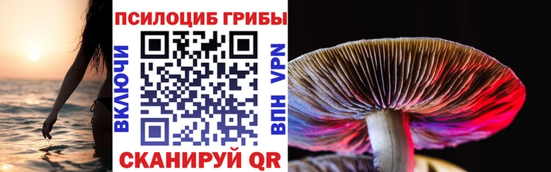 даркнет сайт  Железногорск  mega как войти  Псилоцибиновые грибы Psilocybine cubensis 