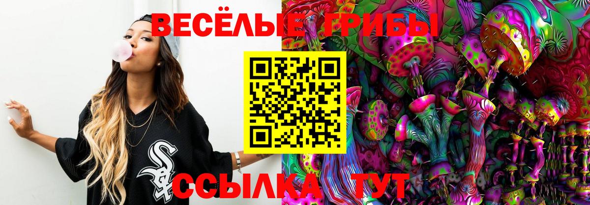 Псилоцибиновые грибы GOLDEN TEACHER  Вход с VPN  Железногорск 